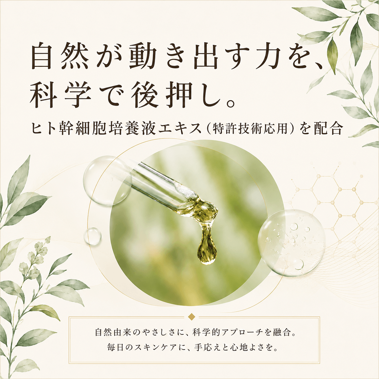 pikiran トリプルセレクション（3点セット）