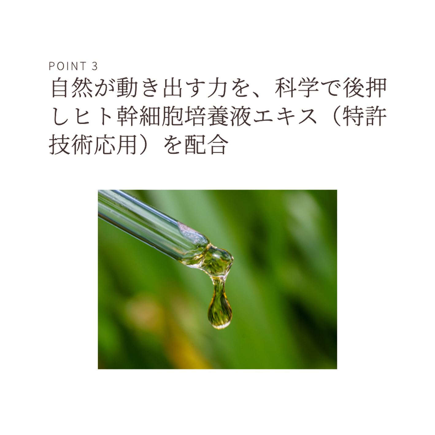 pikiran エッセンスローション（化粧水）