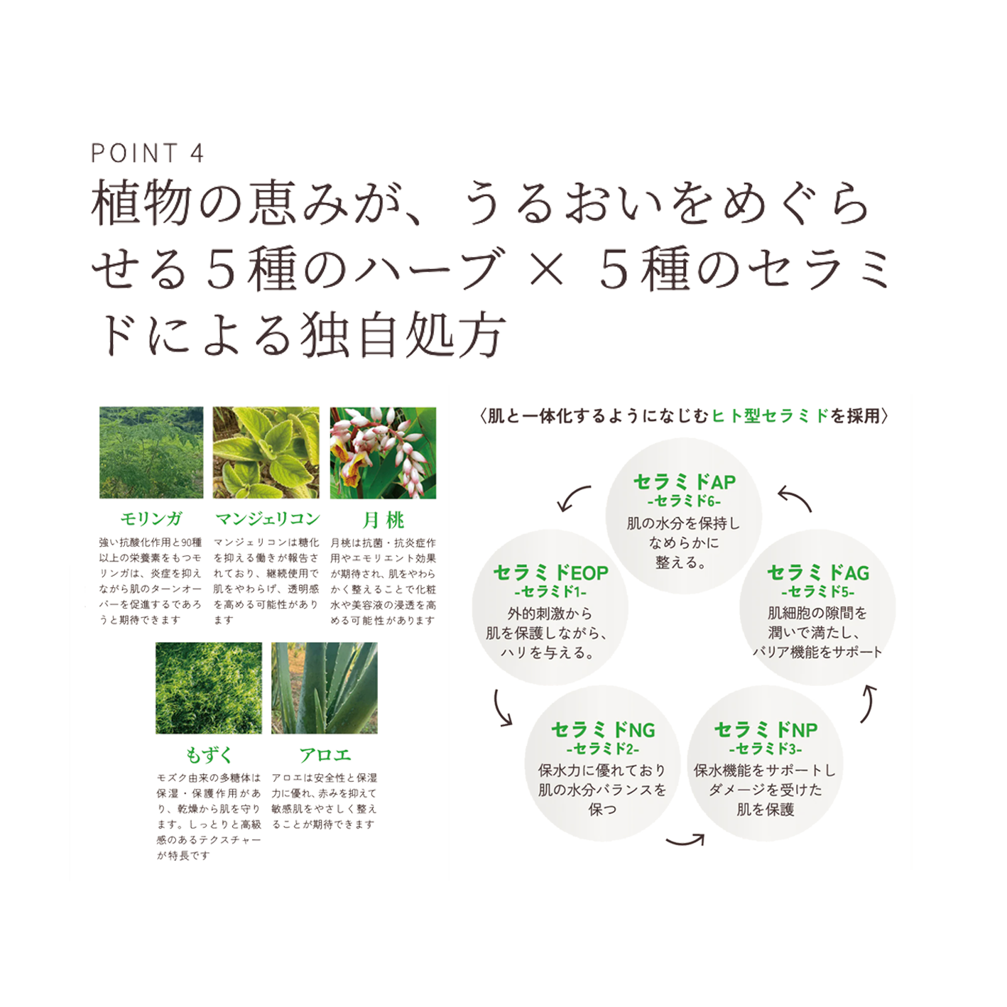pikiran エッセンスローション（化粧水）