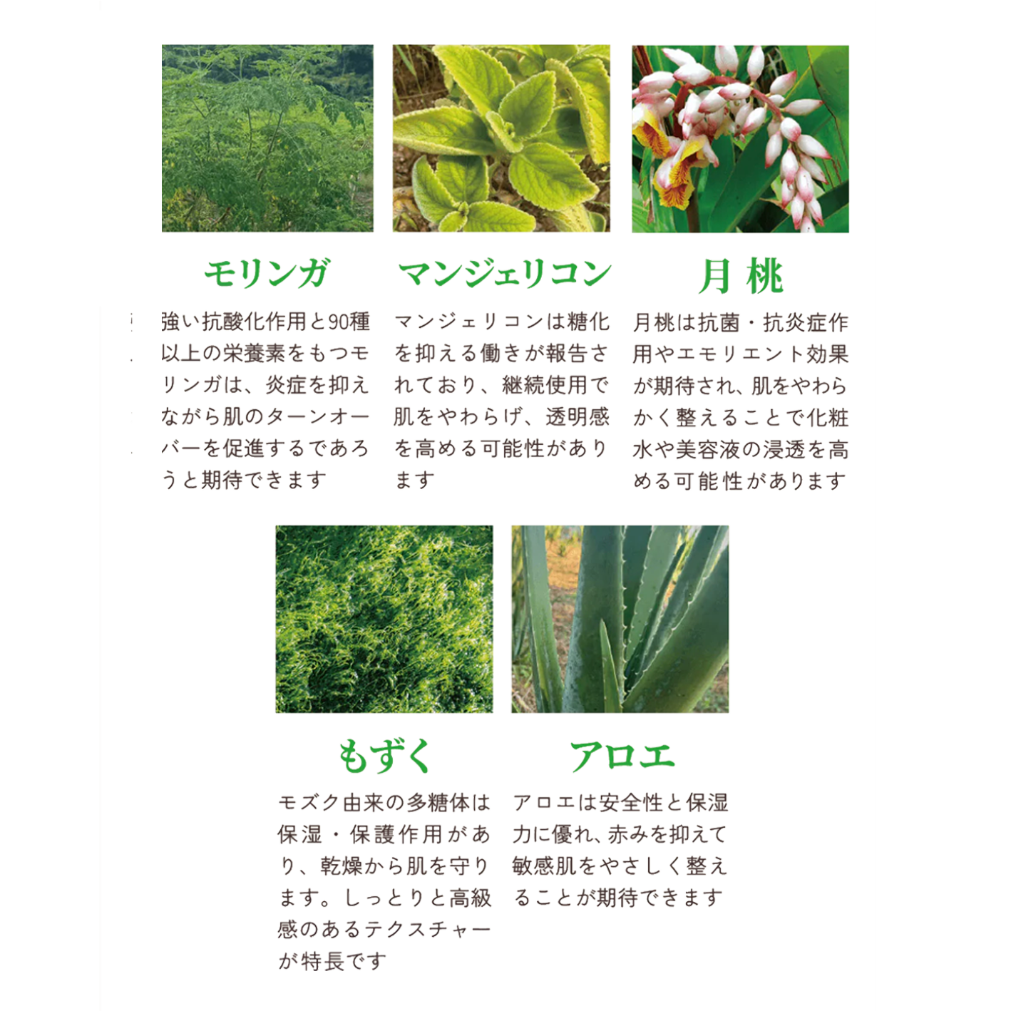 pikiran エッセンスローション（化粧水）